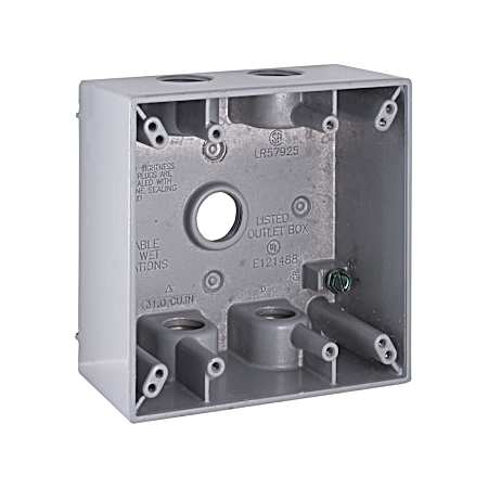 2-Gang Weatherproof Box, Five 1/2 in. Threaded Outlets, Gray