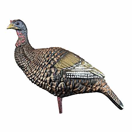 Hard Body Upright Hen Turkey Decoy