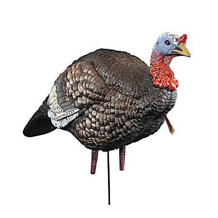 Hard Body Quarter-Strut Jake Turkey Decoy