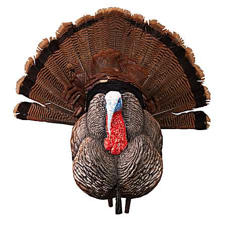 Apex Strutter Hard Body Turkey Decoy