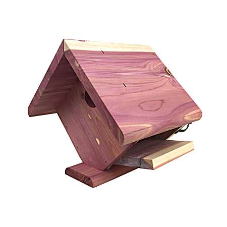 Cedar Wren Bird House