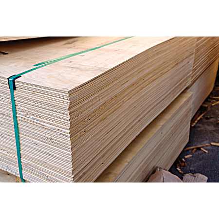 3/4 in x 4 ft x 8 ft CDX Plywood