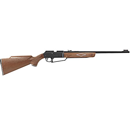 PowerLine 880 Pellet/BB Pump-Action Synthetic Stock Rifle