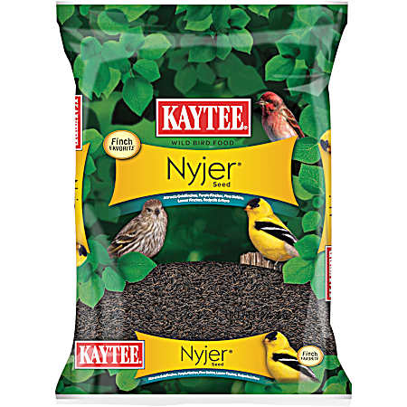 Nyjer Seed Finch & Wild Bird Food