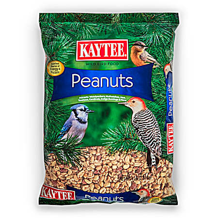 Peanuts Wild Bird Food