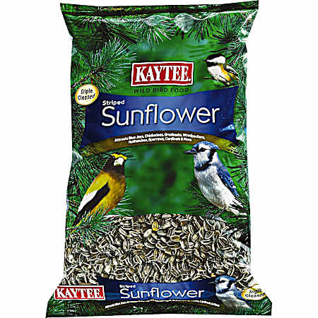 Striped Sunflower Seed