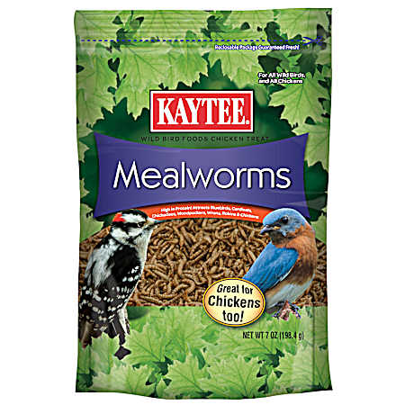 Mealworms Wild Bird Food & Chicken Treat