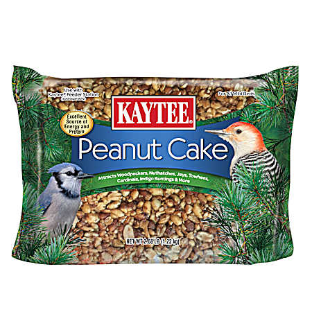 Peanut Cake Wild Bird Food, 2.68 lbs