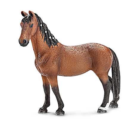 Trakehner Mare