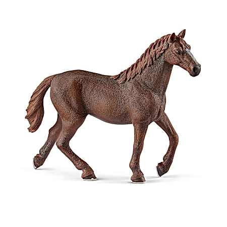 English Thoroughbred Mare