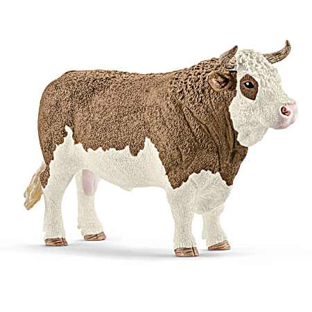 Simmental Bull