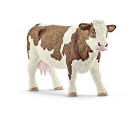 Simmental Cow