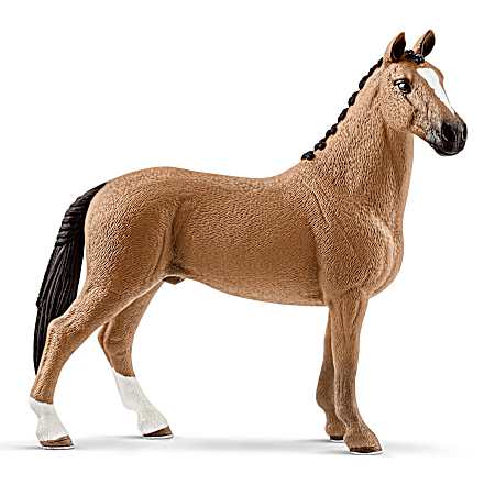 Hanoverian Gelding
