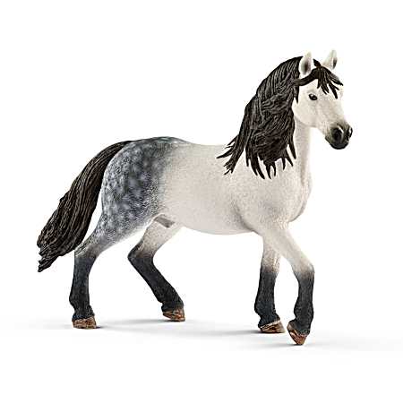 Andalusian Stallion
