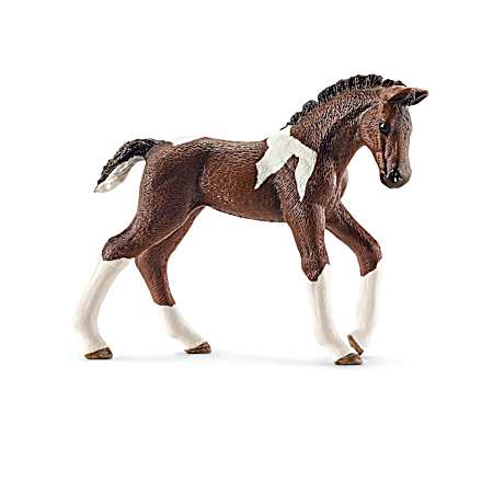 Trakehner Foal