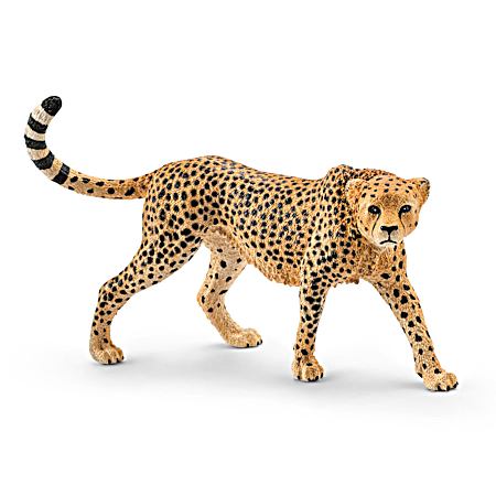 Cheetah Female