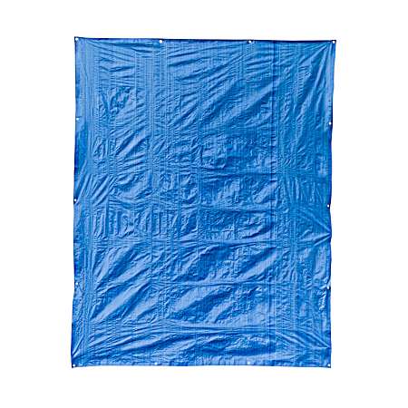 8 ft x 10 ft Blue Tarp