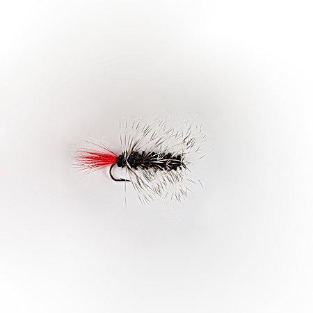 Black Wooly Worm Fly