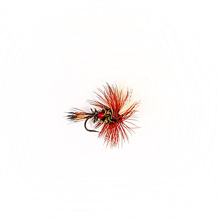 Royal Wulff Dry Fly