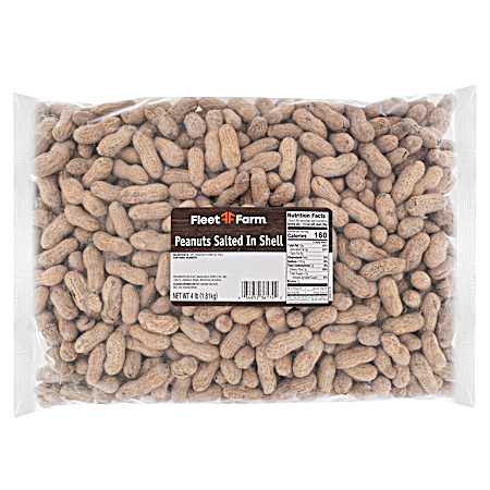 4 lb Salted In Shell Peanuts