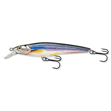 Rainbow Smelt Jerkbait - Silver/Blue