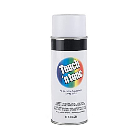 10 oz Spray Paint