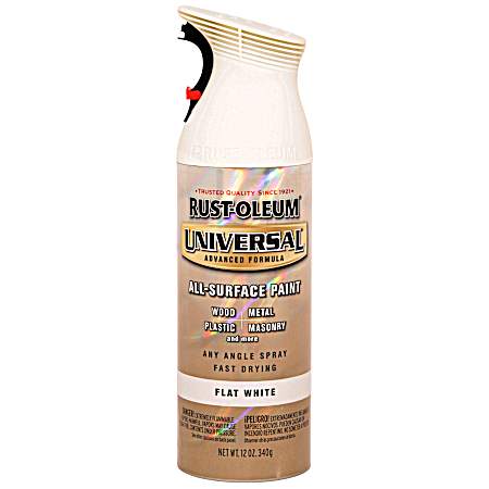 12 oz. Flat Spray Paint