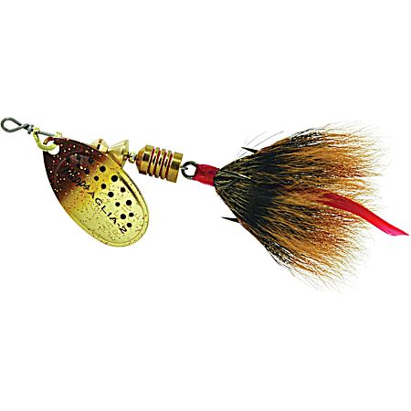 Brown Trout/Brown Dressed Aglia Spinner