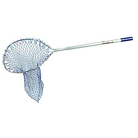 B Husky Series 17 in x 19 in Blue Walleye Poly Net w/ Telescoping Handle