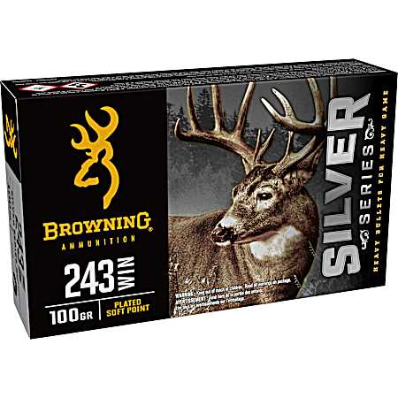 243 Win 100gr Silver Series SP - 20 rds