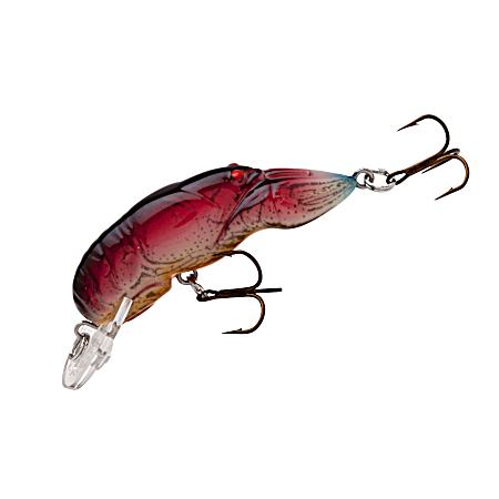 Wee Crawfish - Nest Robber