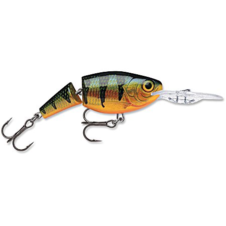 Jointed Shad Rap - Perch