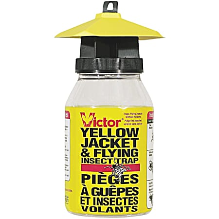 Yellow Jacket & Flying Insect Trap