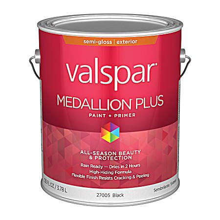 Black - Exterior Paint & Primer