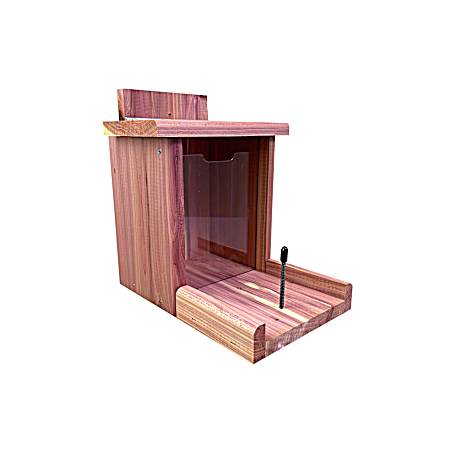 Cedar Dual Squirrel Feeder
