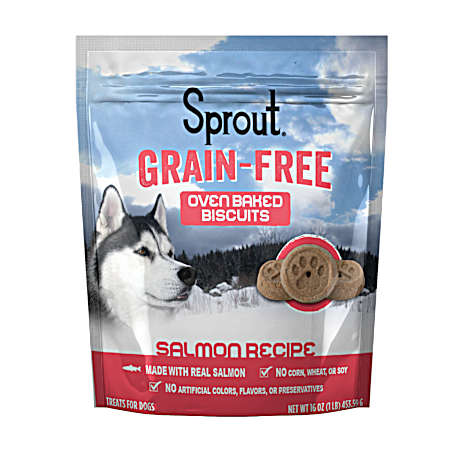 Grain-Free Oven Baked Biscuits Salmon Recipe Dog Treats