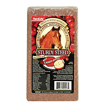 Sturdy Steed Mineral Block