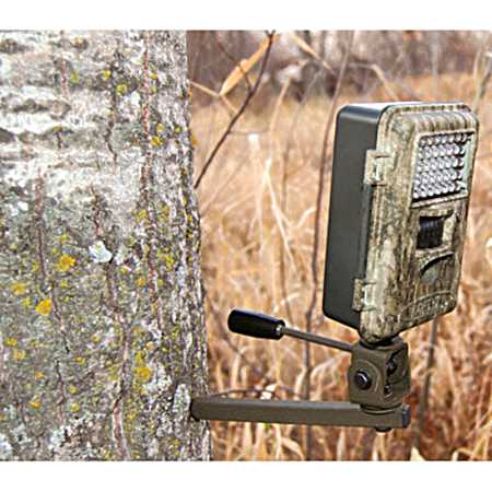 Tree-Mount Game Camera Holder