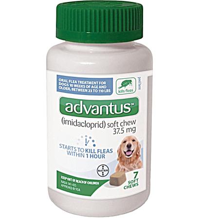 Advantus 37.5 mg Large Dogs Soft Chews - 7 Ct