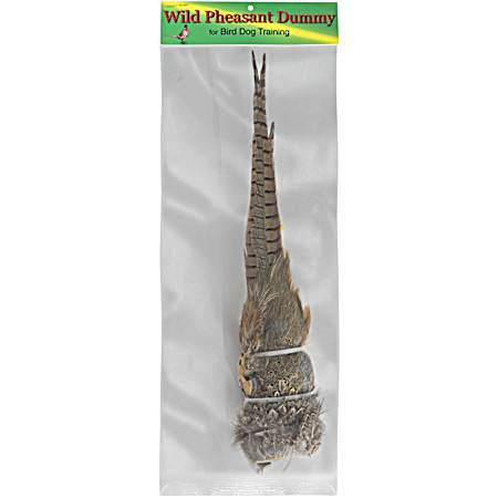 Dried Wild Pheasant Pelt Dummy w/ Tail
