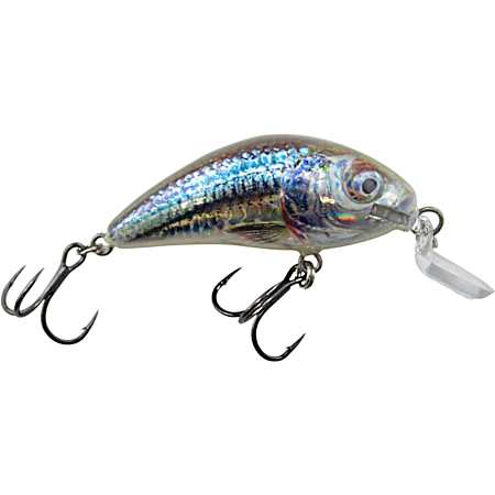 Supernatural Shiner Rattling Hornet Shallow Runner Crankbait
