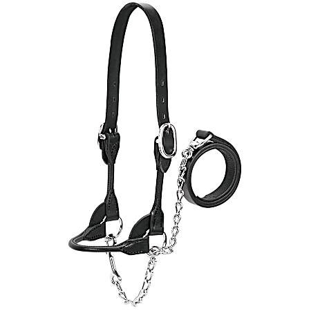 Rounded Show Calf Halter