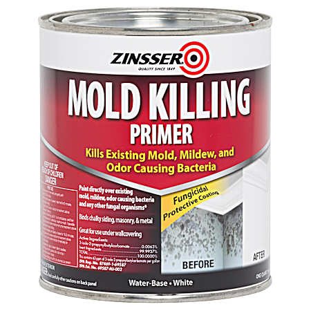 White Mold Killing Interior & Exterior Primer
