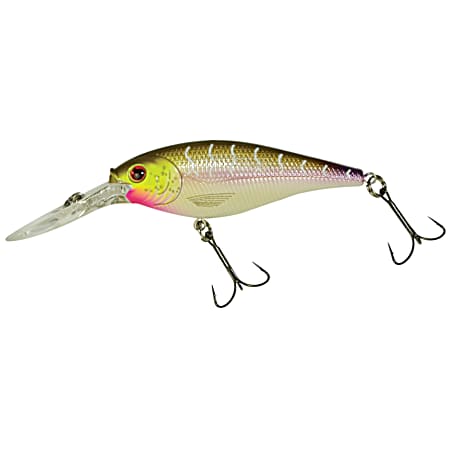 Flicker Shad - Purple Tiger