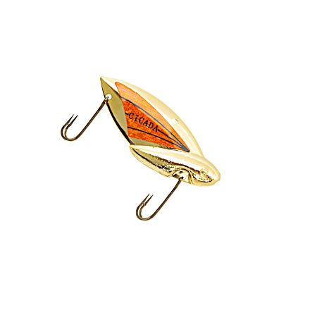 Cicada Spoon - Gold/Orange
