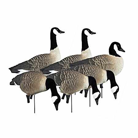 APEX Full-Size Full-Body Variety Pack - Canada - 6 Pk