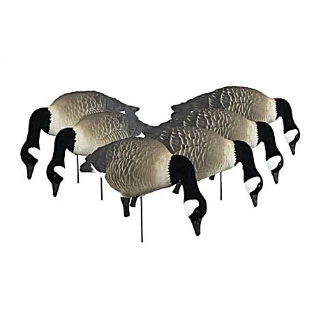 APEX Full-Size Full-Body TruFeeder Pack - Canada - 6 Pk
