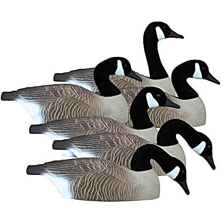 Full-Size Half Shell - Canada - 6 Pk