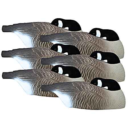 Full-Size Half Shell - Sleeper Pack - Canada - 6 Pk