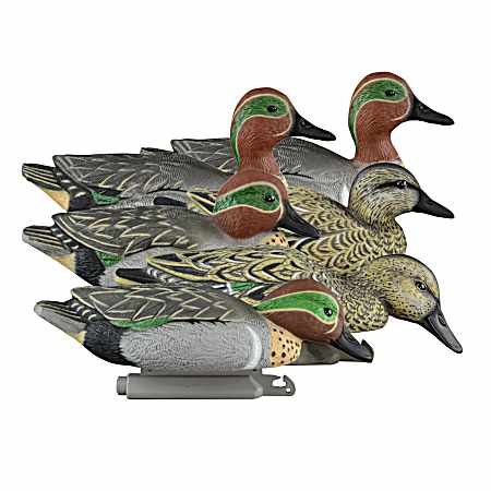 Standard Green Wing Teal - Foam Filled - 6 Pk